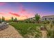 Spacious backyard featuring lush green grass and a well-maintained fence, perfect for outdoor activities at 3256 Offbeaten Pl, Castle Rock, CO 80108