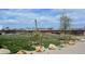 Large backyard with green grass, mature trees, and plenty of space at 11299 E 159Th Pl, Brighton, CO 80602