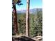 Scenic mountain view with tall trees showcasing the beauty of the surrounding landscape, and clean air at 4618 Se Summit Trl, Evergreen, CO 80439