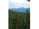 Lush green trees and mountain vista creates a picturesque and peaceful setting at 4618 Se Summit Trl, Evergreen, CO 80439