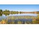 Scenic lake view featuring lily pads, trees, and a clear blue sky at 3921 N Raleigh St, Denver, CO 80212