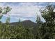 A scenic view of a majestic mountain through lush green trees at 20600 Rangeview Dr, Morrison, CO 80465
