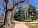 Winding paved pathway through James H. Platt Park featuring mature trees and green lawns under a clear blue sky at 1824 S Logan St, Denver, CO 80210