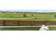 Green community space with walking path and neighborhood homes at 741 Green Mountain Dr, Erie, CO 80516