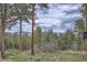 This backyard features a treed lot with mountain views for year-round enjoyment of all that Colorado has to offer at 513 Mt Blue Sky Rd, Golden, CO 80401