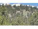 Scenic mountain view with snow-capped peaks and lush green trees, offering a tranquil and picturesque backdrop at 513 Mt Blue Sky Rd, Golden, CO 80401