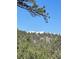 Beautiful mountain view featuring snow-capped peaks, lush green trees, and clear blue skies at 513 Mt Blue Sky Rd, Golden, CO 80401
