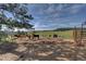Peaceful pasture with horses under a clear sky, offering a serene country setting at 513 Mt Blue Sky Rd, Golden, CO 80401