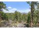 Scenic view of the forest and mountains under a blue sky at 513 Mt Blue Sky Rd, Golden, CO 80401