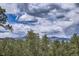 Stunning mountain views framed by lush trees and dramatic clouds, showcasing the natural beauty of the landscape at 513 Mt Blue Sky Rd, Golden, CO 80401