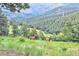 Majestic elks grazing in a serene meadow with a backdrop of lush mountain scenery at 513 Mt Blue Sky Rd, Golden, CO 80401