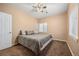 Simple bedroom featuring carpet, ceiling fan, standard windows, and a bed at 5791 Chisholm Pl, Parker, CO 80134