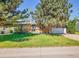 Charming single-story home with brick accents, mature trees, and a well-maintained lawn at 13133 Regulus Dr, Lone Tree, CO 80124