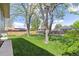 Large grassy backyard featuring mature trees and a wood fence, perfect for outdoor activities at 3298 Quail St, Wheat Ridge, CO 80033