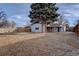 Spacious backyard featuring a large tree, lawn, and a wooden fence, perfect for outdoor activities at 731 Uvalda St, Aurora, CO 80011