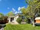 Landscaped front yard showcases a charming single-story home with lush green lawn and mature tree at 16351 E 104Th Pl, Commerce City, CO 80022