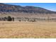 Enjoy the outdoors with a park and mountain views at 9896 W Freiburg Dr # 1B, Littleton, CO 80127
