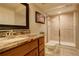 Bathroom features a sink with granite countertops and a glass door shower at 23427 Song Bird Hills Pl, Parker, CO 80138