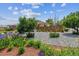 Beautiful front yard featuring mature trees, rock ground cover, and colorful garden bed at 2196 W 56Th Ave, Denver, CO 80221