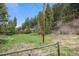 A grassy backyard surrounded by pine trees and partially framed by a wooden fence at 11080 S Deer Creek Rd, Littleton, CO 80127