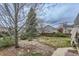 Well-maintained backyard features lush greenery and landscaping, creating a serene outdoor space for relaxation at 815 Concho Ct, Castle Rock, CO 80104