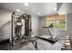 Functional home exercise room featuring a treadmill and multi-station weight machine at 6299 Ellingwood Point Pl, Castle Rock, CO 80108