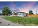Expansive backyard with lush green grass and privacy fence, perfect for outdoor activities at 7826 Joan Dr, Denver, CO 80221