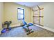 Finished basement with gym equipment and a window for natural light at 2182 S Ogden St, Denver, CO 80210