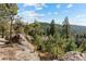 Scenic landscape showcasing natural rock formations and views of the surrounding forest and mountain scenery at 6904 Sprucedale Pkwy, Evergreen, CO 80439