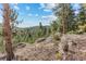 Beautiful landscape featuring natural rock formations, and scenic views of the surrounding forest and mountains at 6904 Sprucedale Pkwy, Evergreen, CO 80439