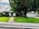 Charming home with a lush front lawn, a large tree, and a welcoming walkway at 291 Magnolia St, Denver, CO 80220