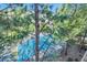Overhead view of a sparkling community pool surrounded by mature trees at 7409 S Alkire St # 304, Littleton, CO 80127