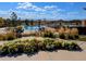 Community pool with manicured landscaping, seating, and mountain views in a serene outdoor setting at 821 Boulder Peak Ave, Erie, CO 80516