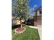 Beautiful two-story home featuring a lovely front yard with a mature flowering tree at 3186 W Indian Summer Ln, Castle Rock, CO 80109