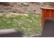 Backyard view of two rabbits sitting on grass behind a home's deck at 12427 W Arkansas Ave, Lakewood, CO 80228