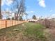 Large grassy backyard with a new wooden privacy fence and mature shade trees at 6795 W 29Th Ave, Wheat Ridge, CO 80214