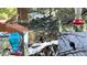 Collage of birds feeding from bird feeders on the exterior of a property at 533 Tenderfoot Dr, Larkspur, CO 80118
