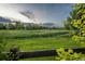 Scenic view of an open field with lush greenery and trees under a partly cloudy sky at 16667 Tin Cup Ct, Parker, CO 80134