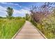 Wood pathway winding through lush greenery, offering a serene and natural walking experience at 7665 E Eastman Ave # 110C, Denver, CO 80231