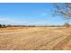 Expansive open field behind the property offering scenic views and recreational opportunities at 1851 Ute Creek Dr, Longmont, CO 80504