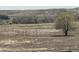 Scenic land view featuring golden pastures and an interesting landscape with trees and natural scenery at 13432 Broad Wing Dr, Parker, CO 80134