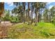 A spacious backyard featuring mature trees, a small shed, and a playground for outdoor fun at 19070 White Fawn Dr, Monument, CO 80132