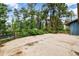 Large concrete backyard patio with trees and a wooden fence, next to the house at 19070 White Fawn Dr, Monument, CO 80132