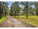 Scenic view of the home with a large front yard and a long driveway leading to the residence at 19070 White Fawn Dr, Monument, CO 80132