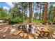 Charming water feature built of rocks and stones surrounded by mature trees and natural landscaping at 19070 White Fawn Dr, Monument, CO 80132