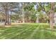 Lush green space with mature trees enhancing the peaceful grounds of the complex at 8635 Clay St # 417, Westminster, CO 80031