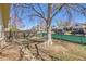 Backyard with a wooden fence, mature tree, and landscaping potential at 1255 Nelson St, Lakewood, CO 80215