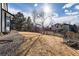 Large backyard features a fence, a mature tree, and a well-maintained lawn at 1314 Ascot Ave, Highlands Ranch, CO 80126