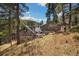 Cozy log cabin home nestled amongst tall trees, with a deck and outdoor seating area at 39 Pat Creek Rd, Evergreen, CO 80439
