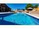 Eye-level view of a sparkling pool with an adjacent patio and seating area under blue skies at 1063 Clarke Ct, Castle Rock, CO 80109